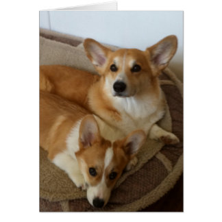 Cartão Hank e Milly