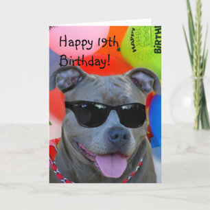 Cartão Happy 19th Birthday Pitbull greeting card