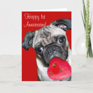 Cartão Happy 1st Anniversary pug greeting card