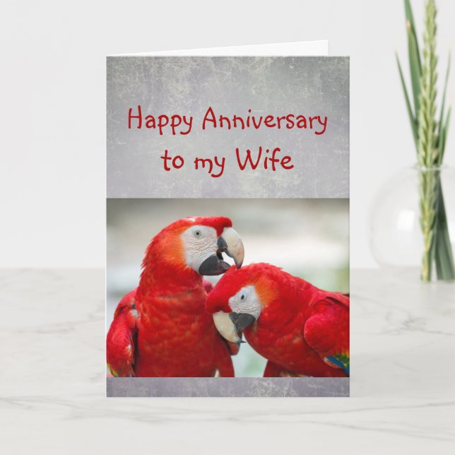 Cartão Happy Anniversary Sweetheart Parrot Wife Love  (Frente)