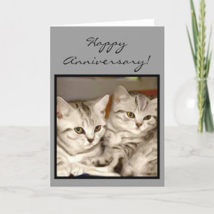 Cartão Happy Anniversary Tabby Kittens greeting card