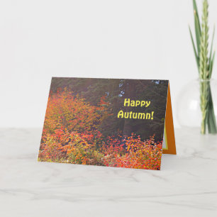 Cartão Happy Autumn Card, Pretty Fall Trees Greeting