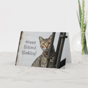 Cartão Happy Belated birthday tabby cat greeting card
