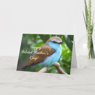 Cartão Happy Belated Mother's Day Beautiful bird card