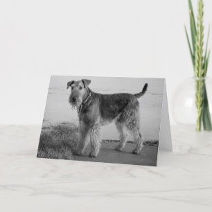 Cartão Happy Birthday Airedale Terrier Puppy Dog Card