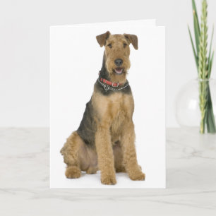 Cartão Happy Birthday Airedale Terrier Puppy Dog Card