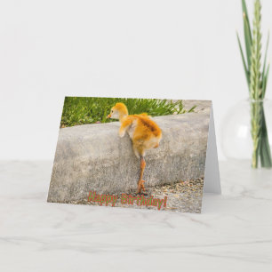 Cartão HAPPY BIRTHDAY Baby Bird