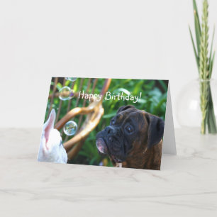 Cartão Happy Birthday Boxer dog greeting card