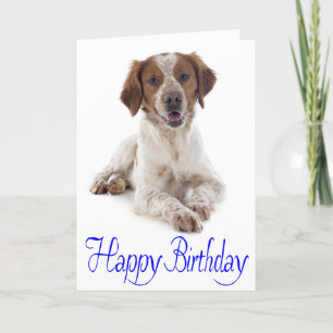 Cartão Happy Birthday Brittany Spaniel Puppy Dog Card
