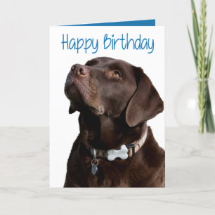 Cartão Happy Birthday Brown Labrador Retriever Puppy Card