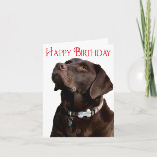 Cartão Happy Birthday Brown Labrador Retriever Puppy Card