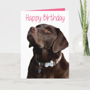 Cartão Happy Birthday Brown Labrador Retriever Puppy Pink