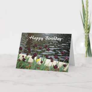 Cartão Happy Birthday Card