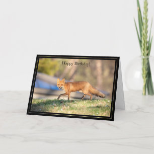 Cartão Happy Birthday Card Red Fox
