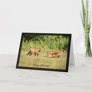 Cartão Happy Birthday Card Red Fox Kits