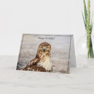 Cartão Happy Birthday Card Red-Tailed Hawk