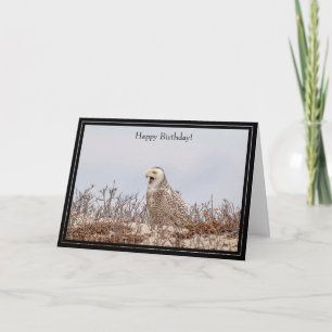 Cartão Happy Birthday Card Snowy Owl