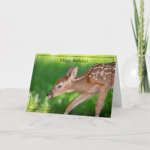 Cartão Happy Birthday Card White-Tailed Deer Fawn
