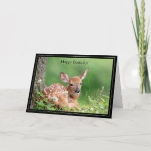 Cartão Happy Birthday Card White-Tailed Deer Fawn