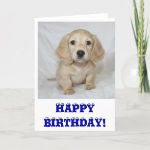 Cartão Happy birthday dachshund