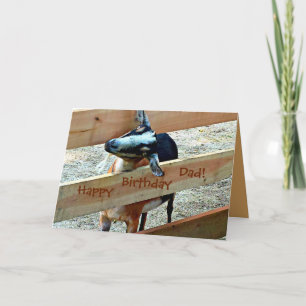 Cartão Happy Birthday Dad from Favorite Kid (with Goat)