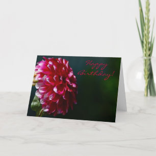 Cartão Happy Birthday Dahlia Card