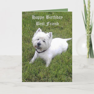 Cartão Happy Birthday Dear Friend