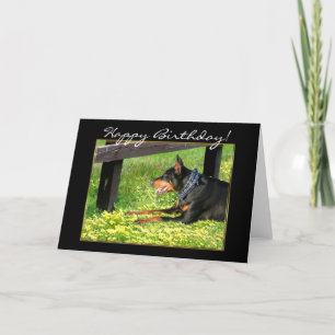 Cartão Happy Birthday Doberman Pinscher greeting card