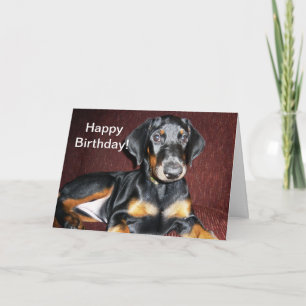 Cartão Happy Birthday - Doberman Pinscher Puppy