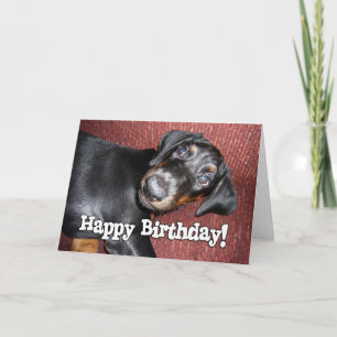 Cartão Happy Birthday - Doberman Pinscher Puppy