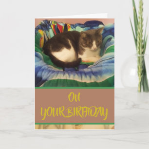 Cartão Happy Birthday Domestic Grey and White Kitty Cat