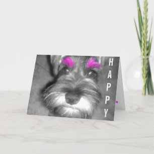 Cartão Happy Birthday Dude Miniature Schnauzer Puppy