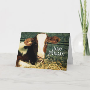 Cartão Happy Birthday Farmer - Brown and White Calf