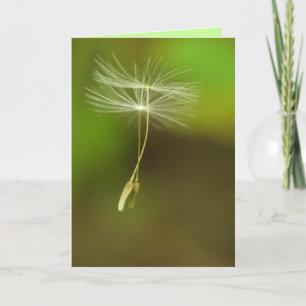 Cartão Happy Birthday - Flying Dandelion seeds