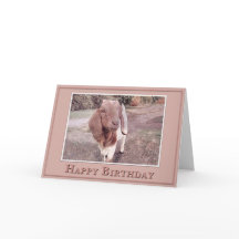 Happy Birthday - From your Favorite Kid