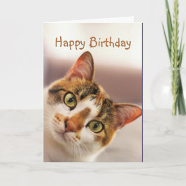 Cartão Happy Birthday Fun Cat Kitten Pop in