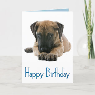 Cartão Happy Birthday Great Dane Puppy Dog Card - Verse