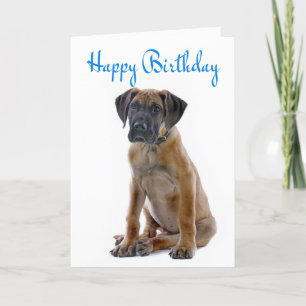Cartão Happy Birthday Great Dane Puppy Dog Card - Verse