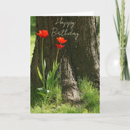 Cartão Happy Birthday Grußkarte mit roten Tulpen