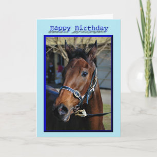 Cartão Happy Birthday Horse Birthday mare stallion foal