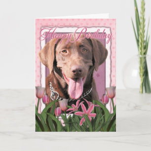 Cartão Happy Birthday - Labrador - Chocolate