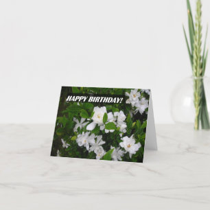 Cartão Happy Birthday NoteCard Featuring Gardenia Blooms