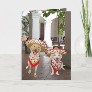 Cartão Happy Birthday! or ¡Feliz cumpleaños!