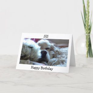 CARTÃO HAPPY BIRTHDAY SIS-TAKE NAP/DO WHATEVER U WISH