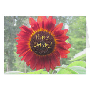 Cartão Happy Birthday Sunflower