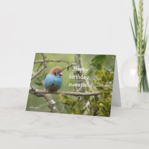 Cartão Happy Birthday, Sweetie Greeting Card
