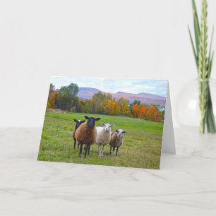 Cartão Happy Birthday Vermont Sheep in Autumn