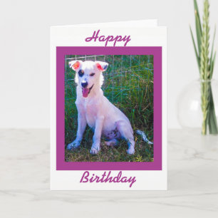 Cartão Happy Birthday with Cute Puppy