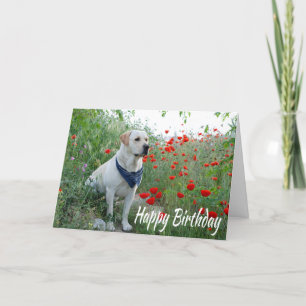 Cartão Happy Birthday Yellow Labrador Lab Puppy Dog Card