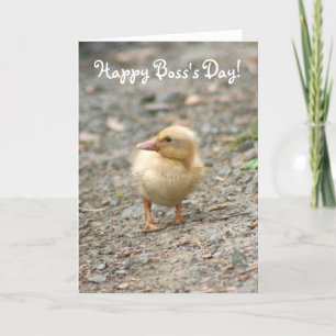 Cartão Happy Boss's Day Duckling greeting card